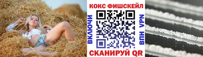 darknet телеграм  Болохово  Cocaine Эквадор 